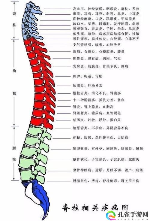 颈腰挺过那层薄膜好疼