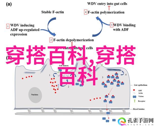 电梯深度开发1v6笔趣阁1v2