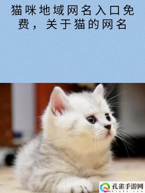 猫咪成人最新地域网