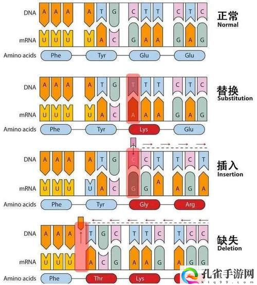 兽人dna与人类dna比较