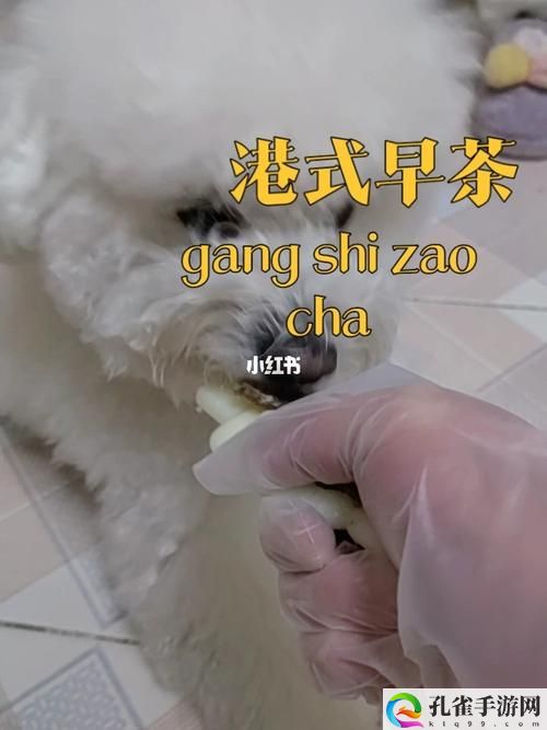 人狗胶配方大全高清4