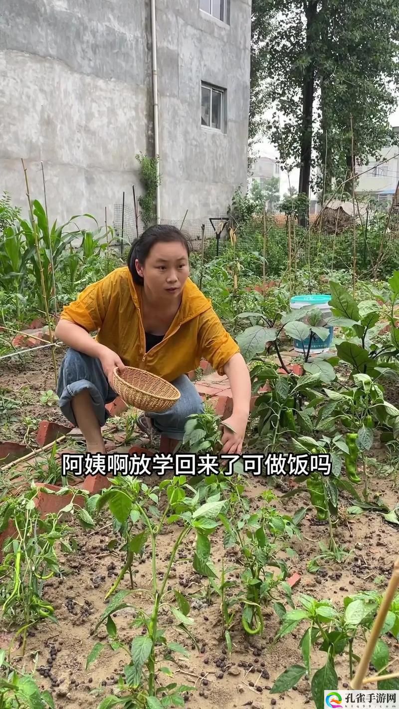 饥饿的阿姨5需要灭火