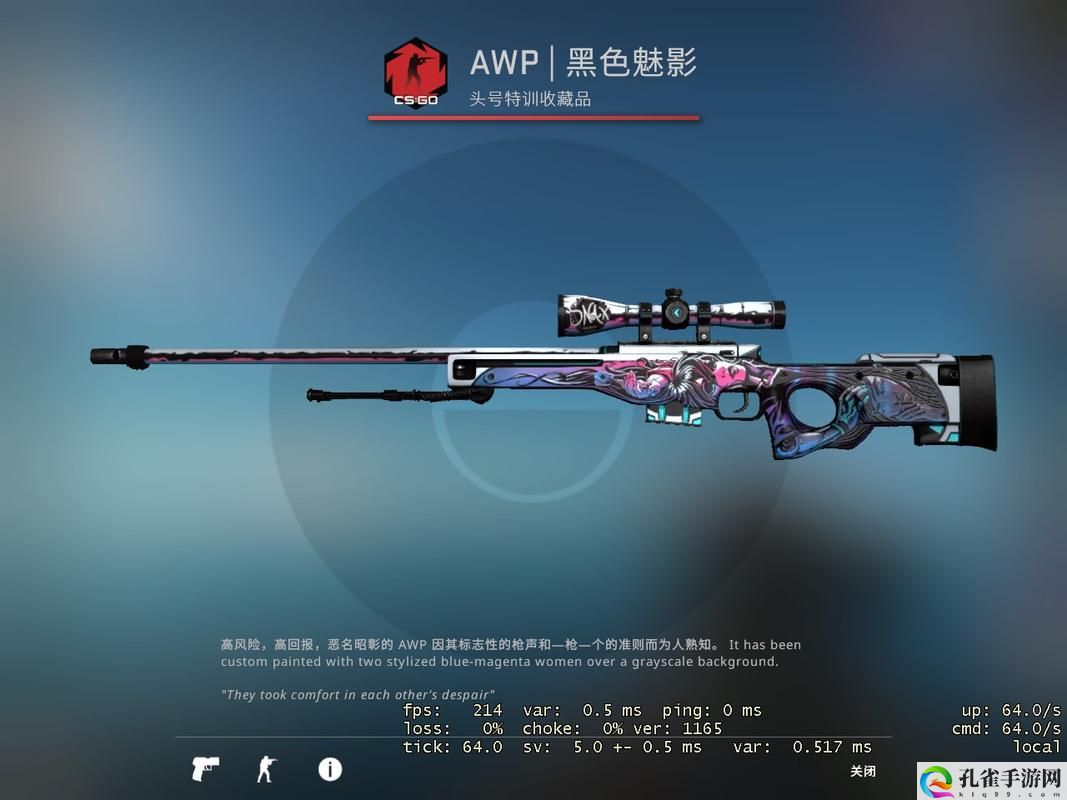 日本CSGO大姐姐AWP