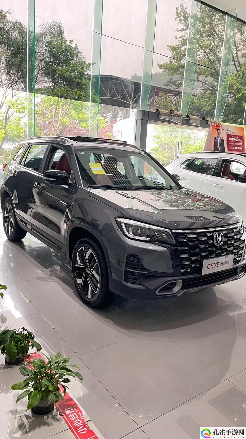 国产好看又实用的SUV