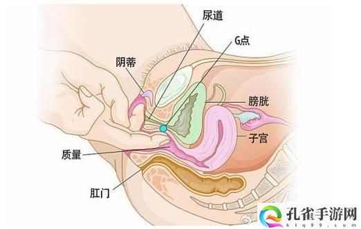 大荫蒂BBBBBB大荫蒂