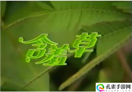 含羞草免费观看电视剧的背景故事