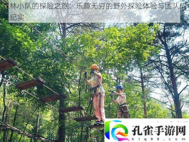 森林小队冒险之旅：挑战与成长中的野外探险与团队协作