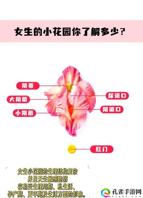 老公吃小花园的方法